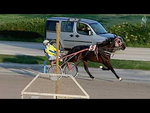 Aversa trotto 16 Dicembre 2020 - 3° Corsa