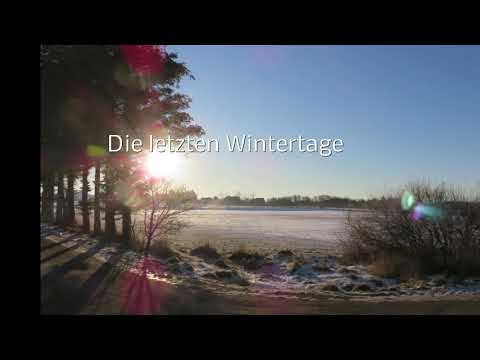 Die letzten Wintertage in Utersum