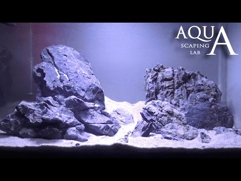 Aquascaping Lab - Tutorial 