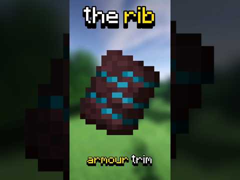 3 Of The BEST Armour Trims In Minecraft