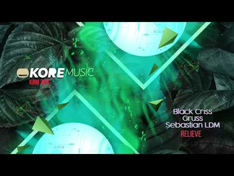 KRM308 RELIEVE Mix - Sebastian LDM, Black Criss, Gruss