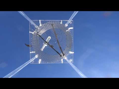 Six North American Bee hummingbird species' shuttle displays from below