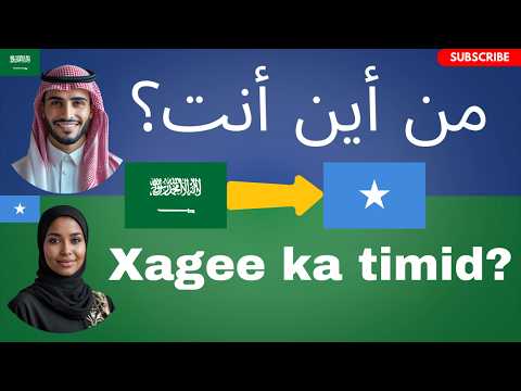 Af-Soomaali iyo Carabi || Baro Jumladaha Fudud ee La Adeegsado Maalin kasta