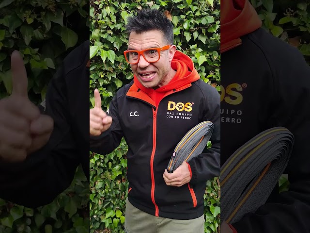 Vídeo relacionado con Correa de Metal para Perros Medianos y Grandes - Cadena Resistente de 3.93 pies/1.2 m - Entrenamiento para Perros Pequeños y Medianos