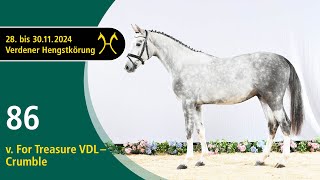 Video koně Firecracker K