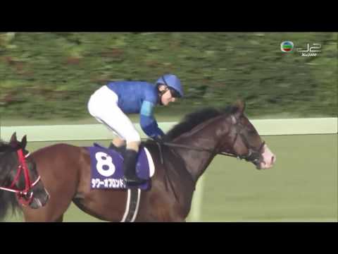 2019 日本短途馬錦標 Sprinters Stakes スプリンターズステークス 倫敦塔 Tower Of London タワーオブロンドン