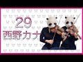 【パンダが弾く】 29/西野カナ (バイオリン、ビオラ) 【パンダが弾く】 29/西野カナ (バイオリン、ビオラ)