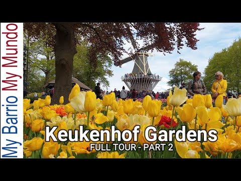 Tulips of Holland - Keukenhof Garden Netherlands 2022 - Part 2 of a Full Tour (4k UHD)