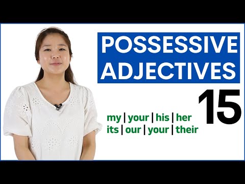 學習佔有式形容詞 | 基礎英語語法課程 (Learn Possessive Adjectives | Basic English Grammar Course)