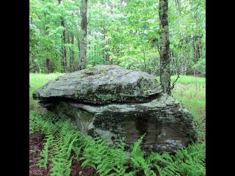 "The Woodlands"  of Woodridge  Six (6) prime acres   Woodridge, NY