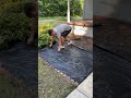 Yard transformation #lawncare #lawnmaintenance #lawn #yard #landscaping #Transformation#satisfying
