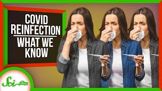 COVID-19 Reinfections Are a Thing: Here’s What We Know So Far | SciShow News