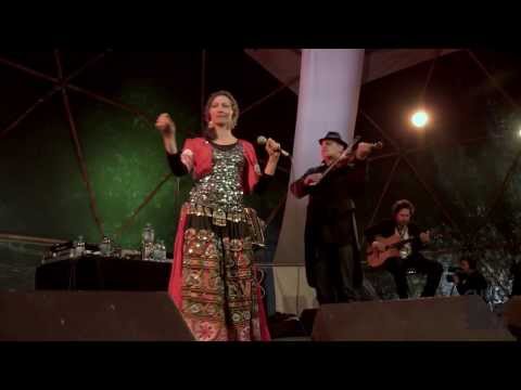 Édition 2013 | Gypsy Sound System - Magic Winery Orkestra