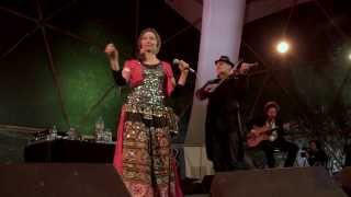 Édition 2013 | Gypsy Sound System - Magic Winery Orkestra