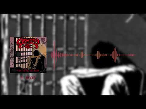 Crimson Colt - Roses