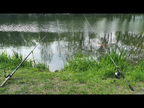 Ansitzangeln im Frühjahr am Teich...Mit Pose und Feeder auf Karpfen, Schleie und Co.