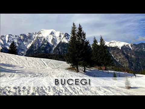 Bucegi: Gura Diham - Diham - Poiana Izvoarelor - a walk in the woods