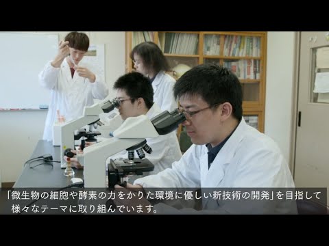 農学部　生命科学科 分子生物機能学コース　研究室紹介動画　（山田美和教授研究室）専門分野：生物機能・バイオプロセス