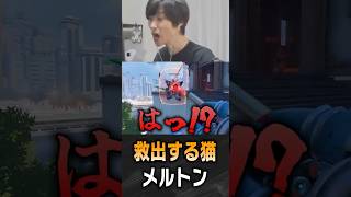 勝ちを何度も確信してしまうメルトン【 OverWatch / メルトン 切り抜き】 #short #shorts