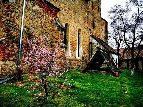 Biserica Fortificata Axente Sever