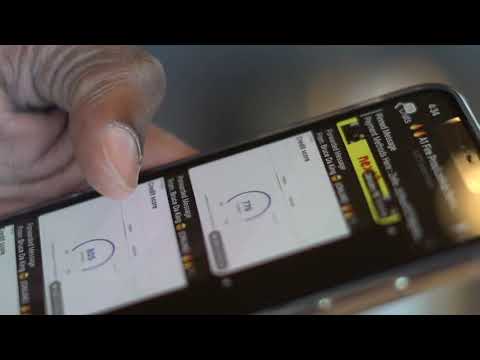 Dutchiano scam likely