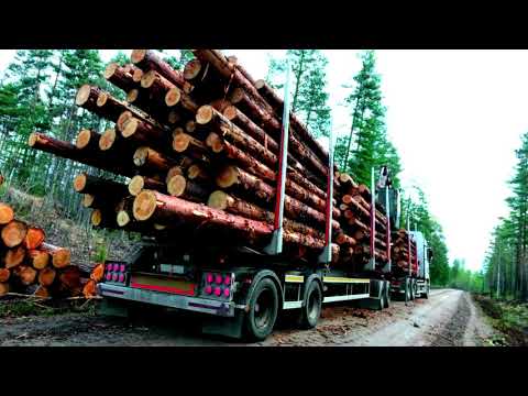 Physical Geography Sweden