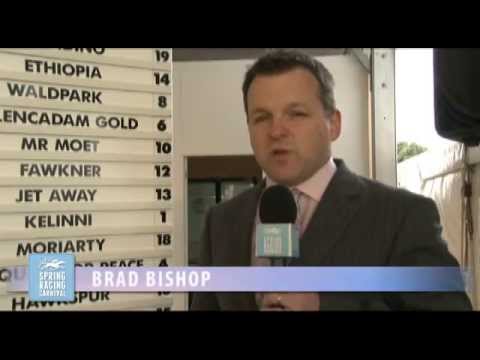 2013 BMW Caulfield Cup Barrier Draw