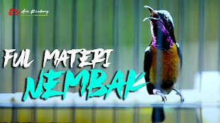 Download lagu MASTERAN KONIN GACOR FULL NEMBAK NEMBAK ISTIMEWA S... mp3
