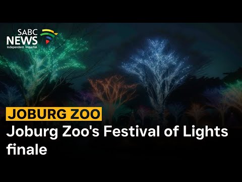 Joburg Zoo's Festival of Lights finale