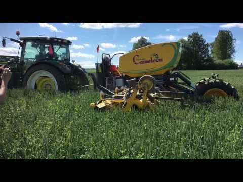 System Cameleon hoeing winterwheat