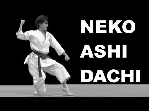 Neko Ashi Dachi in Karate - This is known as the Cat Stance in Karate