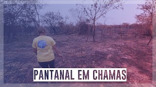 Miniatura do vídeo