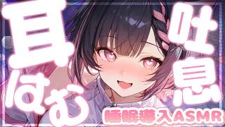 【広告無しASMR/Twitchアーカイブ】耳はむ×吐息でとろける睡眠導入【黒3Dio/Vtuber】