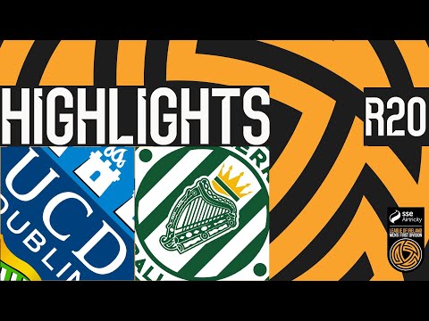 bg-highlight