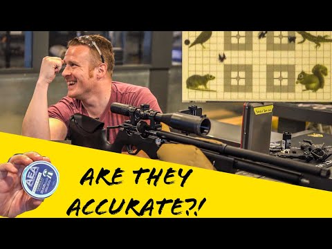 Light Or Heavy Pellets: This Airgun Shoots Them All!! | Air Venturi Avenge-X With AEA Pellets