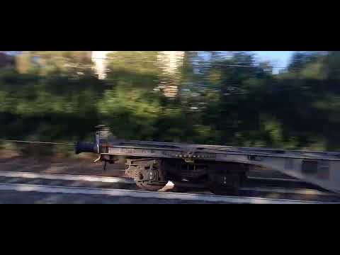 TC Bologna Int San Ferdinando 