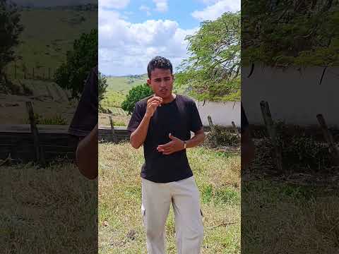 Cemitério abandonado em cafundó Bahia! Verdadeiro descuido. Distrito de Itapitanga Bahia! Segue.