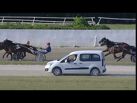 Napoli Trotto 05/09/2023 - 6ª corsa