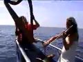 Dolphin Serenade with harpist Peter Sterling and Onyay-Healing and Relaxation music