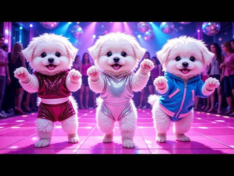 🤩 Cute puppy crazy dancing 💃😆 Funny video for Dogs 💃🤣 | #dog #puppydance #catvideos #viraldance 3
