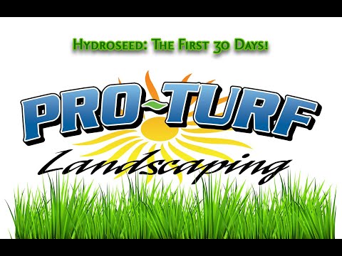 Hydroseed 30 Days Time Lapse | Pro-Turf Landscaping