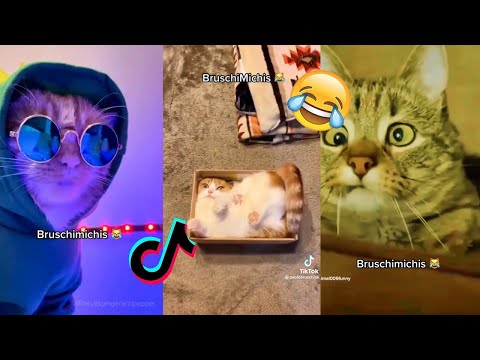 LO MEJOR DE BRUSCHIMICHIS #4