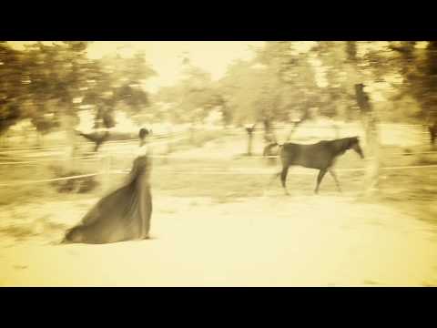 Cavalo Negro - Bailarina Diversa