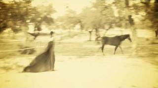 Cavalo Negro - Bailarina Diversa