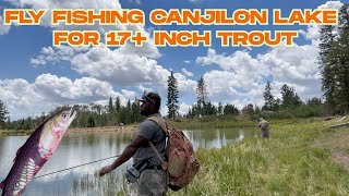 Fly Fishing Canjilon Lake for 17+ Inch Trout #rainbowtrout  #cutthroattrout #newmexico #flyfishing