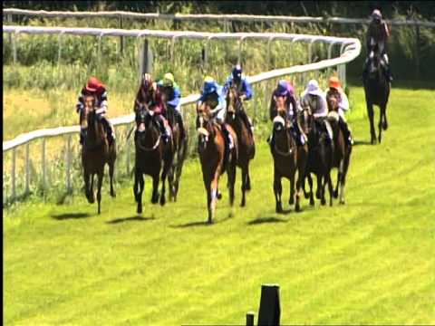 Galopprennbahn Dresden - 30.05.2015 - 3.Rennen