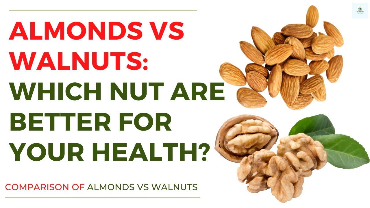 Who said that Holy Mary the Mother of God prays for us sinners now and