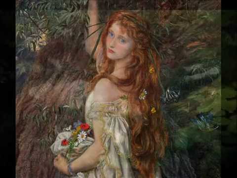 Down In The Willow Garden (with lyrics) - Tim O'Brien w/ Paul Brady