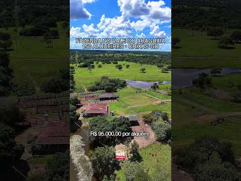 Fazenda Vale do Araguaia próximo a Mozarlândia-GO | 150 alqueires, #fazendaavenda #agro