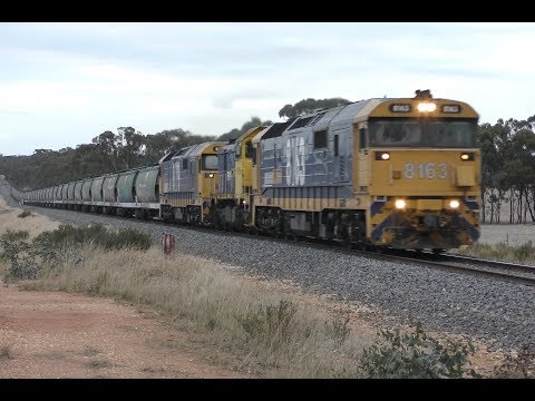 Trackside: 8163, T392 and 8179 on 7928V PN grain from Birchip- 17/5/18